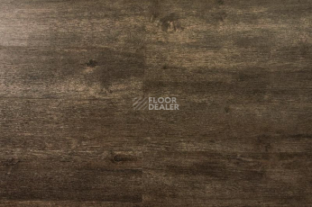 IVC Primero (Сlick) IVC Primero 24982N фото 1 | FLOORDEALER